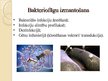 Презентация 'Bakteriofāgi', 13.