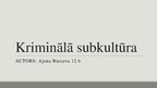 Презентация 'Kriminālā subkultūra', 3.