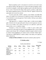 Реферат 'SIA "Velve-AE" finanšu analīze', 13.