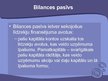 Презентация 'Grāmatvedība, bilance un darba ražīgums', 14.