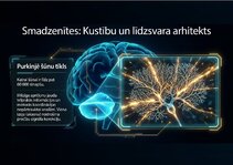 Презентация 'Centrālās nervu sistēmas fizioloģija', 9.