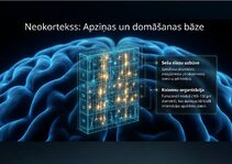 Презентация 'Centrālās nervu sistēmas fizioloģija', 12.