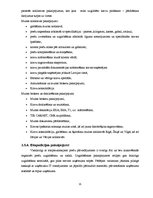 Отчёт по практике 'Kvalifikācijas prakses atskaite par uzņēmumu SIA "Kuehne + Nagel Latvia"', 15.
