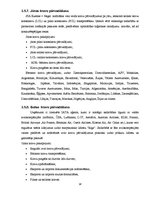 Отчёт по практике 'Kvalifikācijas prakses atskaite par uzņēmumu SIA "Kuehne + Nagel Latvia"', 18.