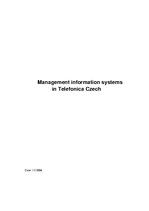 Реферат 'Management Information Systems in "Telefonica Czech"', 1.