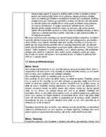 Отчёт по практике 'Prakses atskaite - 3. vec.posms. pirmā prakse', 3.