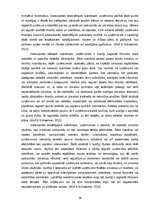 Реферат 'Uzņēmuma "PURE CHOCOLATE" izmaksu novērtējums un prognozes', 18.