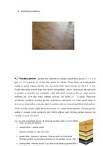 Конспект 'Grīdas segumi un grīdas krāsas interjerā', 11.