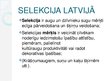 Презентация 'Selekcionāri un selekcija Latvijā', 2.