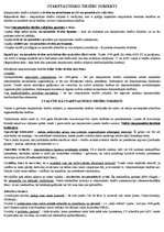 Конспект 'Starptautisko tiesību subjekti', 1.