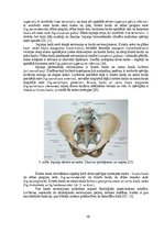 Дипломная 'Astes kaula asimetrijas ietekme uz iegurņa  funkcionālo stāvokli', 10.
