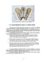Дипломная 'Astes kaula asimetrijas ietekme uz iegurņa  funkcionālo stāvokli', 11.