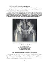 Дипломная 'Astes kaula asimetrijas ietekme uz iegurņa  funkcionālo stāvokli', 18.