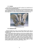 Дипломная 'Astes kaula asimetrijas ietekme uz iegurņa  funkcionālo stāvokli', 19.