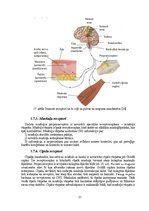 Дипломная 'Astes kaula asimetrijas ietekme uz iegurņa  funkcionālo stāvokli', 23.