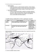 Конспект 'Pasaules apdzīvotība un urbanizācija', 4.