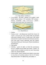 Дипломная 'CO2 izmešu salīdzinājums CLT un dzelzsbetona pārseguma un sienu paneļu ražošanai', 20.