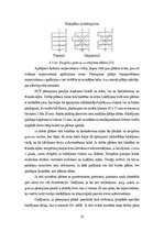 Дипломная 'CO2 izmešu salīdzinājums CLT un dzelzsbetona pārseguma un sienu paneļu ražošanai', 35.