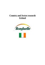 Реферат 'Country and Sector Research Ireland', 1.