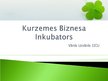 Реферат 'Kurzemes Biznesa inkubators kā risinājums jauno uzņēmumu problēmām', 14.