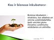 Реферат 'Kurzemes Biznesa inkubators kā risinājums jauno uzņēmumu problēmām', 15.