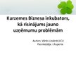 Реферат 'Kurzemes Biznesa inkubators kā risinājums jauno uzņēmumu problēmām', 23.