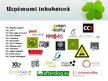 Реферат 'Kurzemes Biznesa inkubators kā risinājums jauno uzņēmumu problēmām', 26.