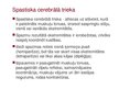 Презентация 'Bērnu cerebrālā trieka', 8.