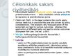 Презентация 'Cēloniskais sakars kā civiltiesiskās atbildības priekšnoteikums', 5.