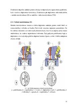 Дипломная 'Dīzeļmotora barošanas sistēma ar elektriski vadāmu augstspiediena sūkni', 12.