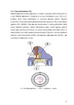 Дипломная 'Dīzeļmotora barošanas sistēma ar elektriski vadāmu augstspiediena sūkni', 14.