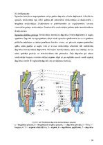 Дипломная 'Dīzeļmotora barošanas sistēma ar elektriski vadāmu augstspiediena sūkni', 21.
