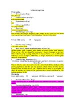 Конспект 'Ellena Ferrante "Brīnišķīgā draudzene"', 1.