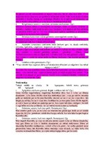 Конспект 'Ellena Ferrante "Brīnišķīgā draudzene"', 2.