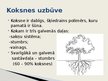 Презентация 'Koksne kā konstruktīvs materiāls', 2.