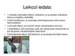 Презентация 'Leikoze', 6.