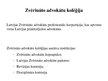Презентация 'Tiesu iestādes Latvijā un advokatūra', 13.