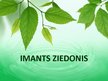 Презентация 'Imants Ziedonis', 1.