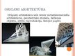 Презентация 'Origami saistība ar matemātiku un citām dzīves jomām', 16.