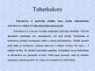 Презентация 'Tuberkuloze', 2.