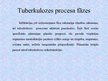 Презентация 'Tuberkuloze', 11.