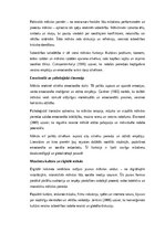 Эссе 'Krāsas, vārdi un skaņas: mākslas loma cilvēka un sabiedrības dzīvē', 2.