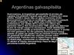 Презентация 'Argentīna', 6.
