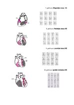 Реферат 'Neatliekamā palīdzība akūta koronāra sindroma gadījumā pirms slimnīcas etapā', 40.