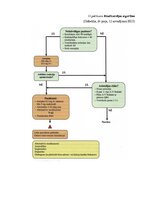 Реферат 'Neatliekamā palīdzība akūta koronāra sindroma gadījumā pirms slimnīcas etapā', 43.