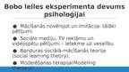 Презентация 'Kognitīvā psiholoģija: no biheiviorisma līdz sociālajai izziņai', 17.
