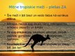 Презентация 'Austrālijas daba', 6.