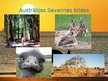 Презентация 'Austrālijas daba', 10.
