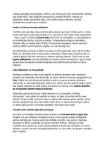 Конспект 'Ģermāņu ciltis: vēsture, kultūra, mitoloģija, sabiedrība un kultūras mantojums', 21.