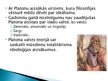 Презентация 'Aristotelis un Platons', 7.
